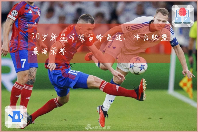 20岁新星带领黄蜂重建，冲击联盟最高荣誉